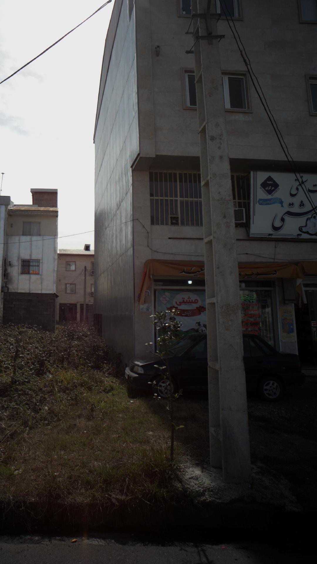لبنیات سنتی سعید