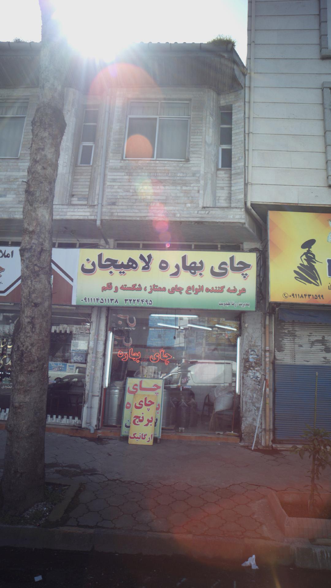 چای بهاره لاهیجان