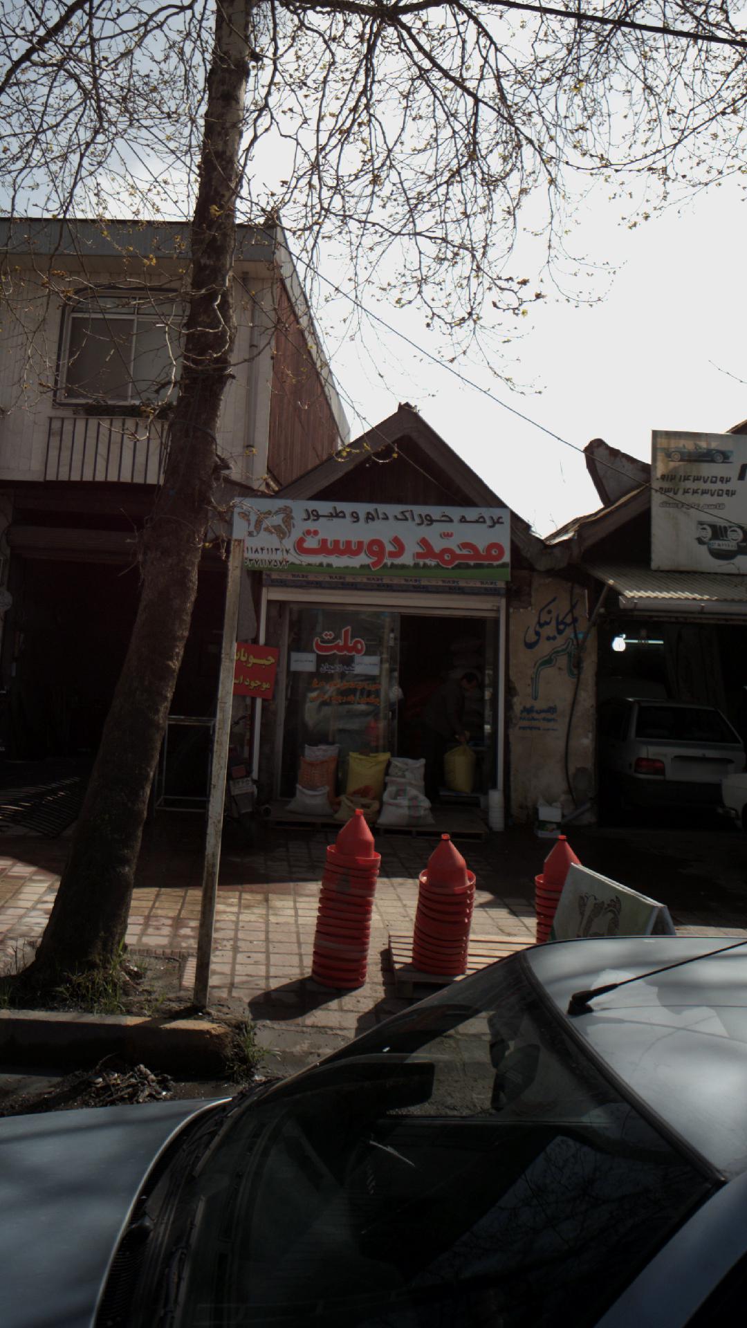 عرضه خوراک دام و طیور محمد دوست