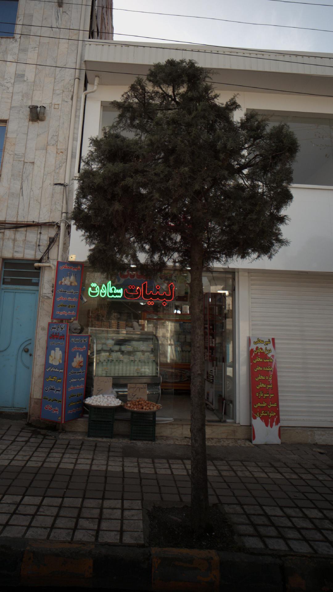 لبنبات سعادت