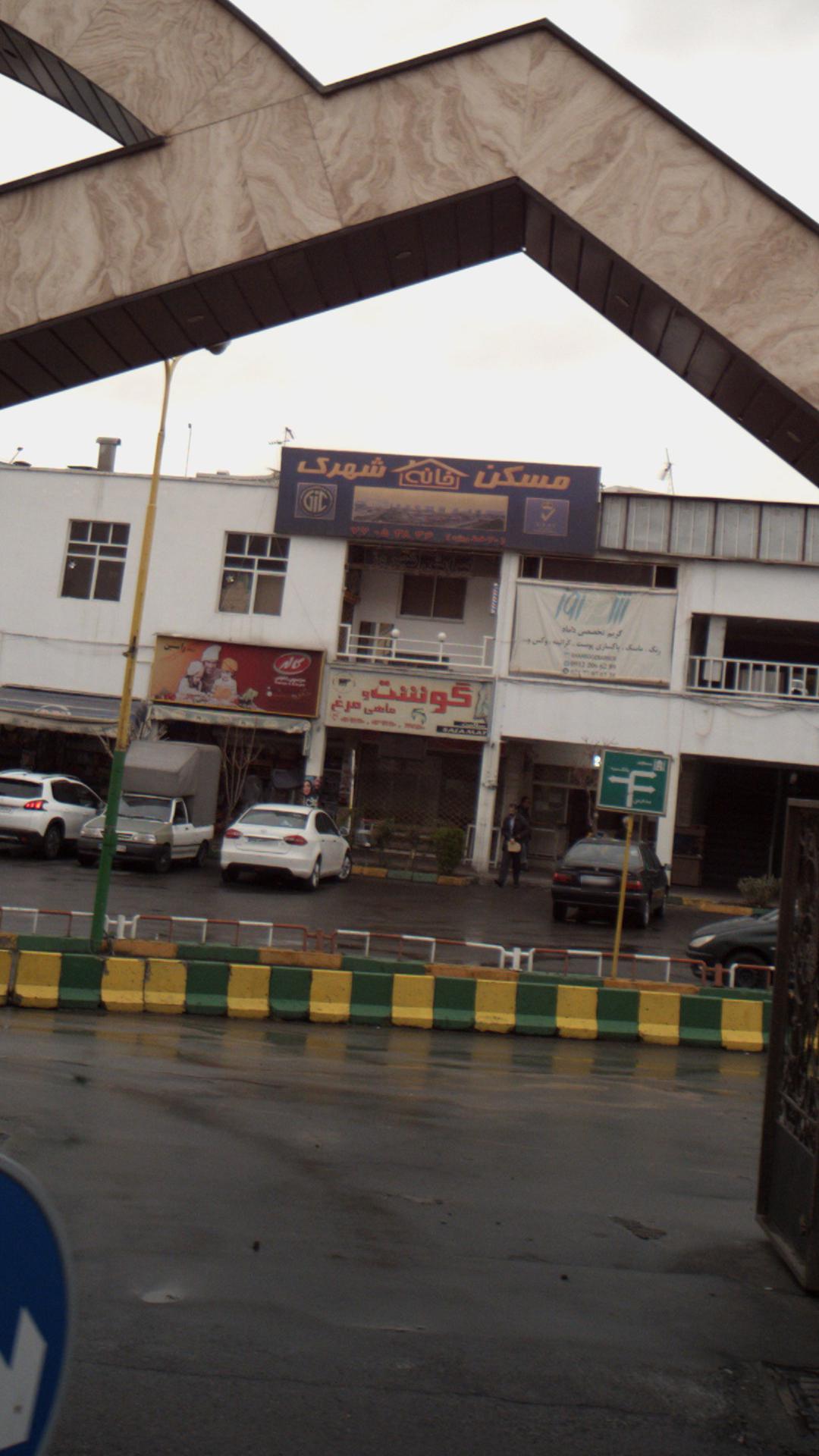 گوشت وماهی مرغ