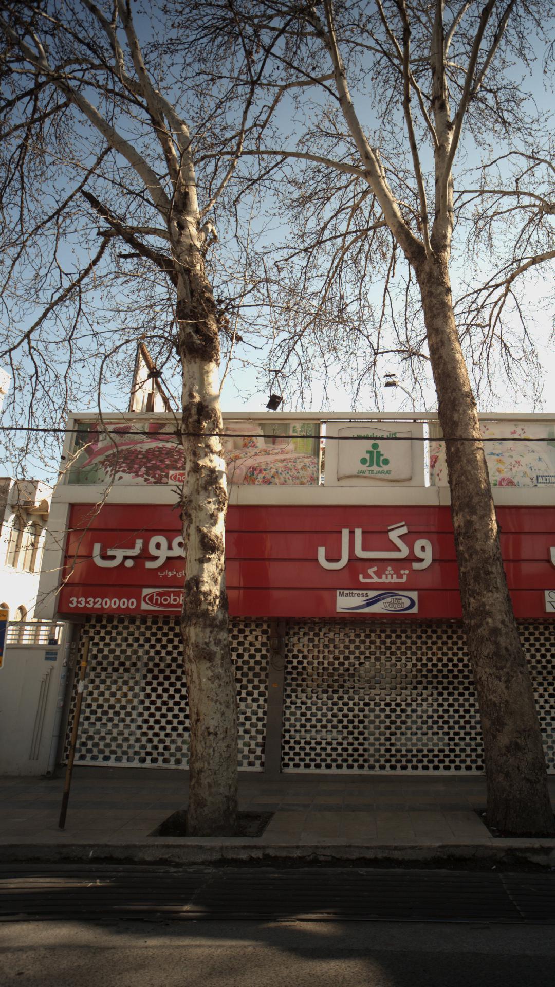 آلتین وگال هوبی