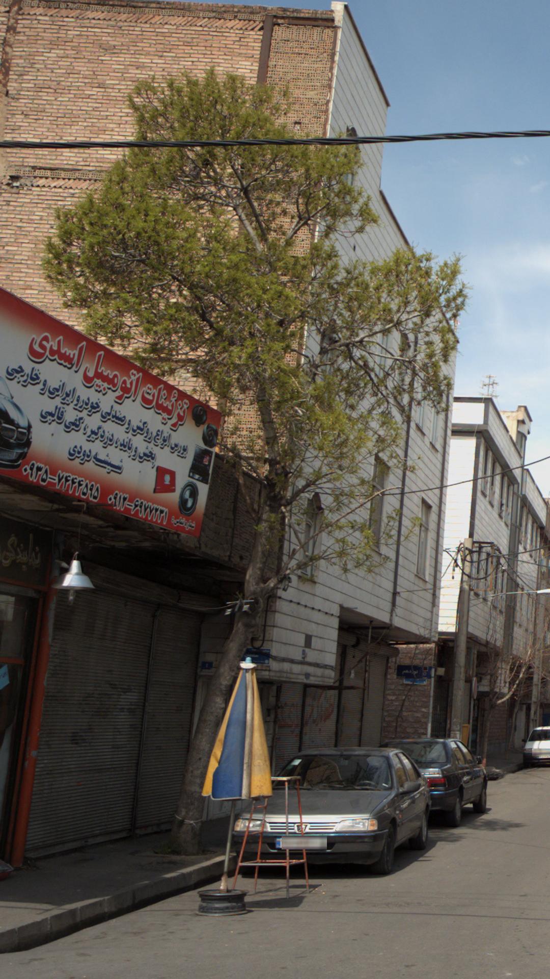 تزئینات اتومبیل اسدی