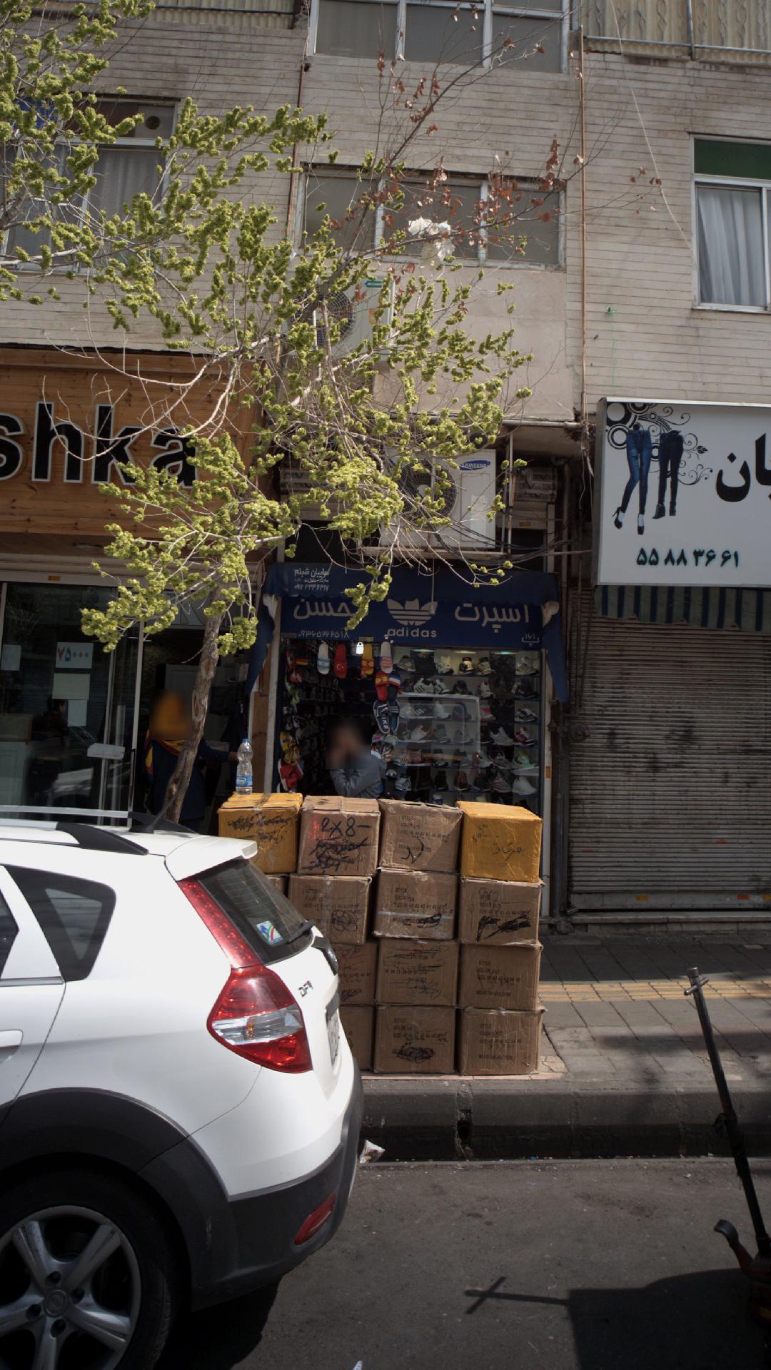 اسپرت محسن