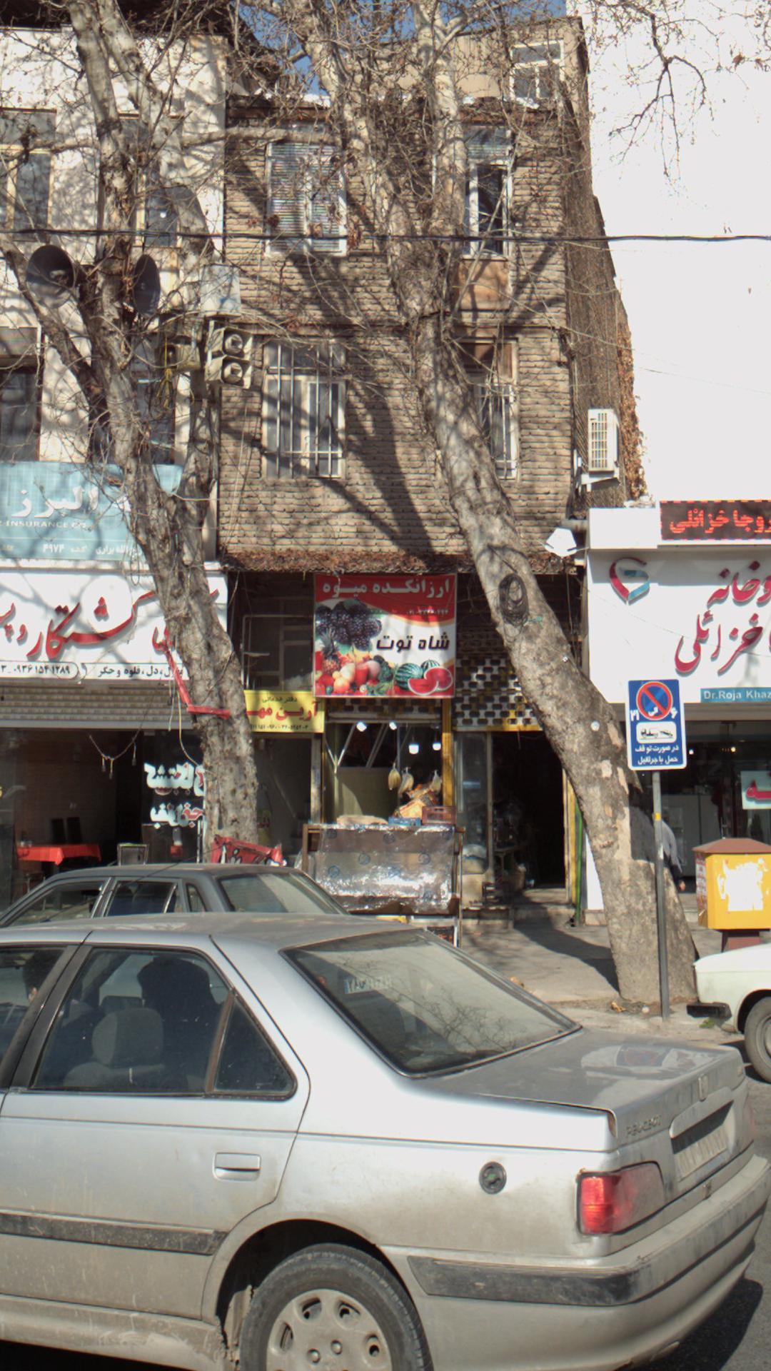 ارزانکده میوه شاه توت