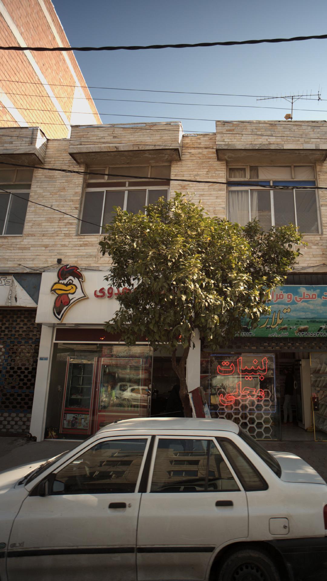 فروشگاه مرغ مهدوی
