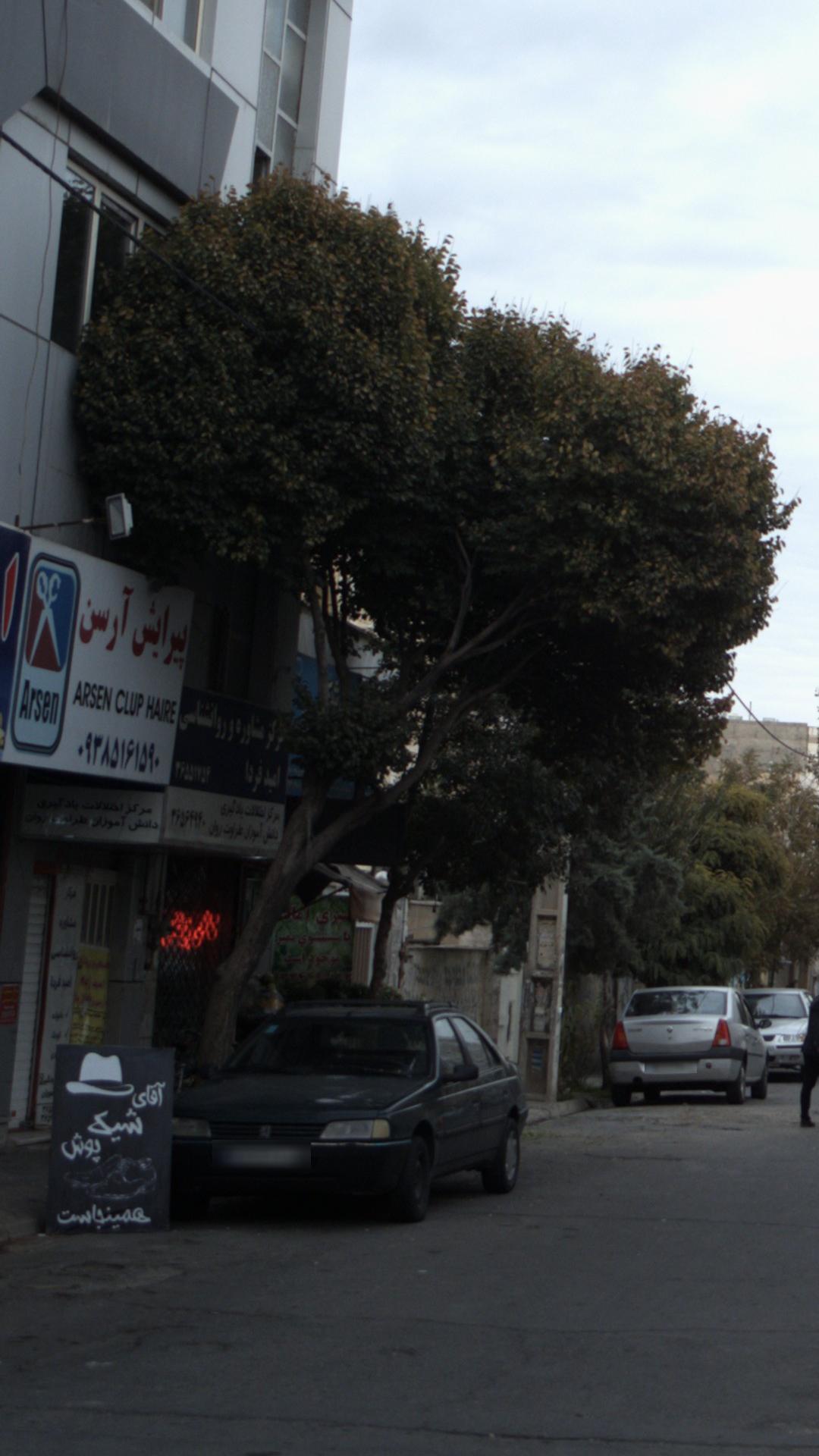پیرایش آرسن