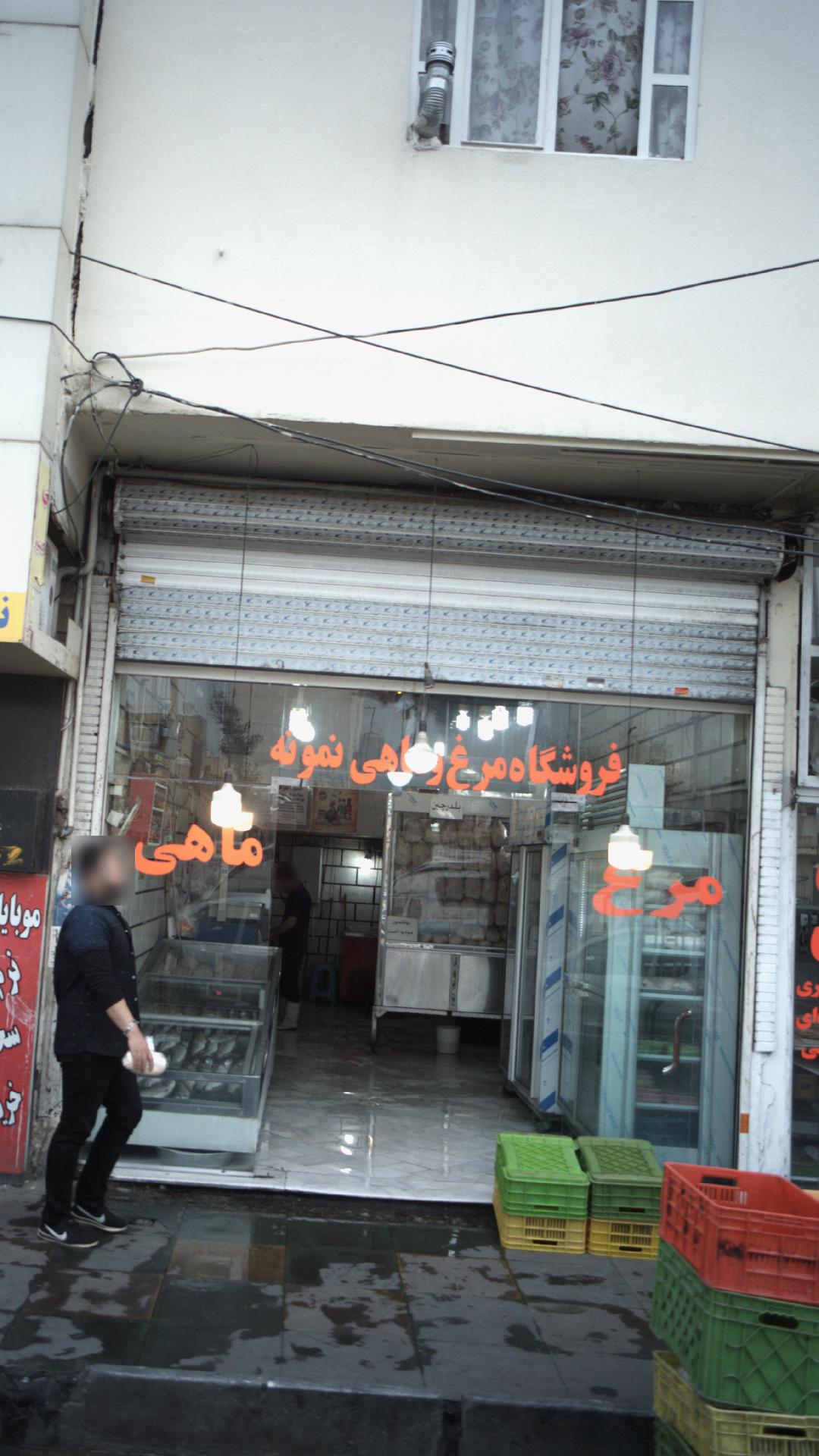 فروشگاه مرغ و ماهی نمونه
