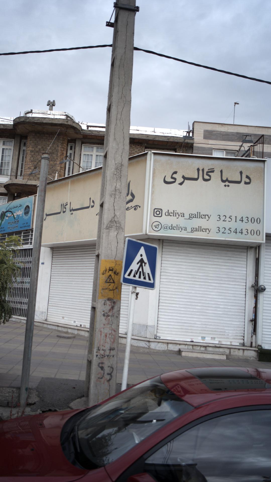 دلیا گالری