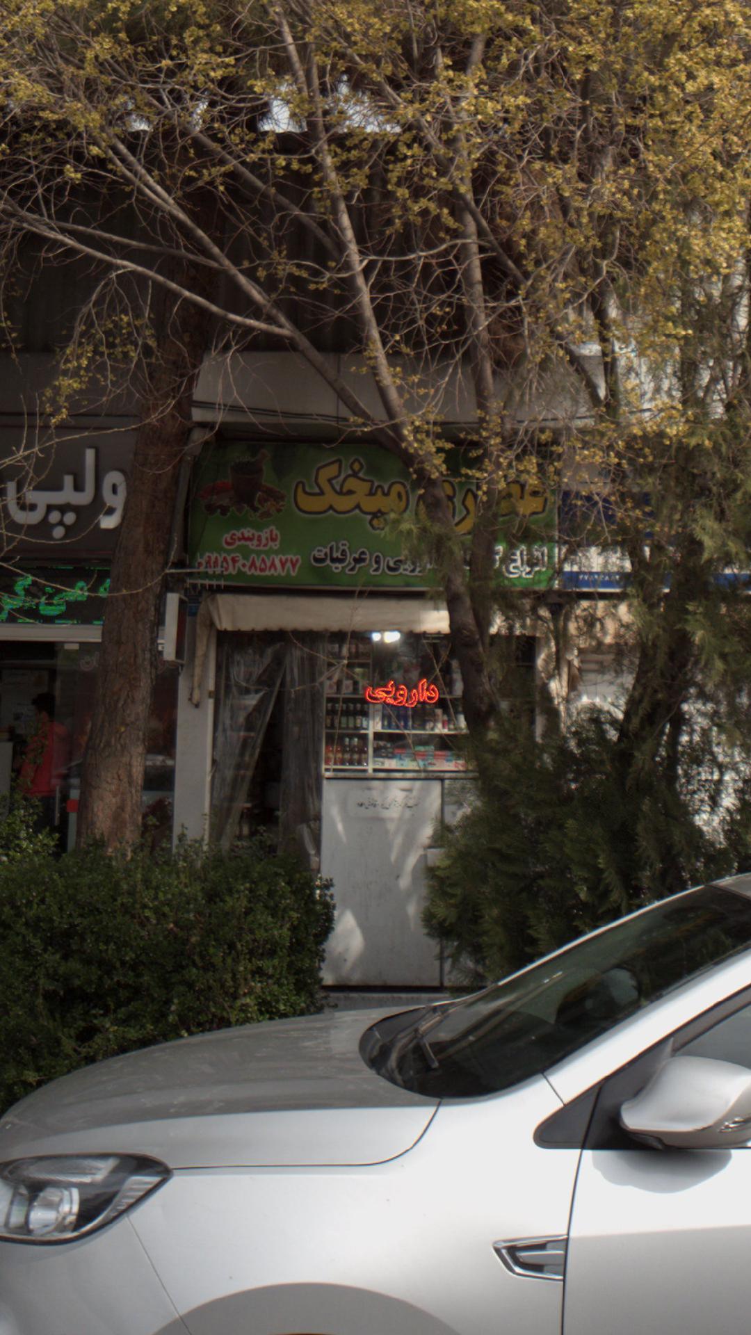 عطاری میخک