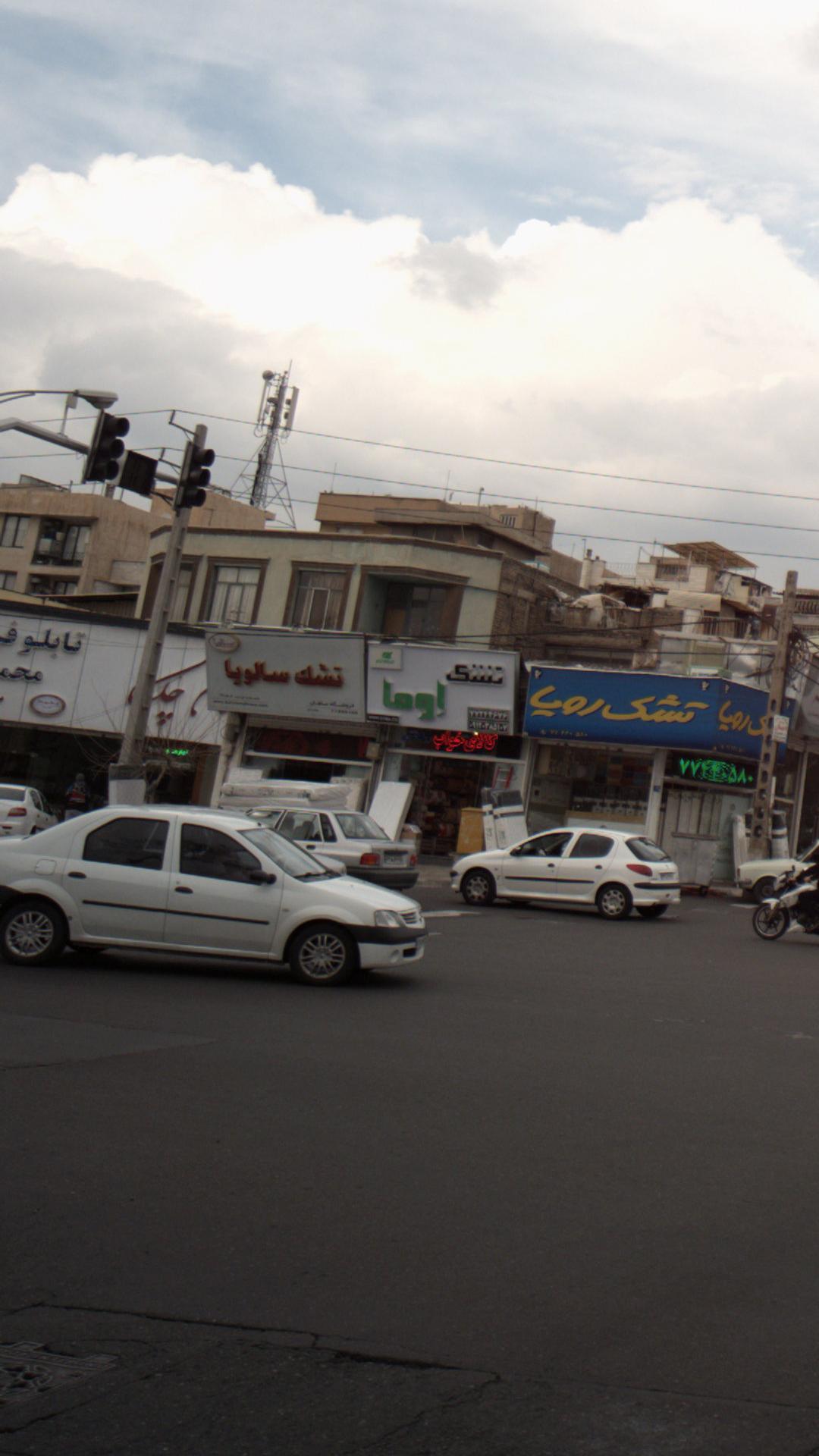 تشک سالویا