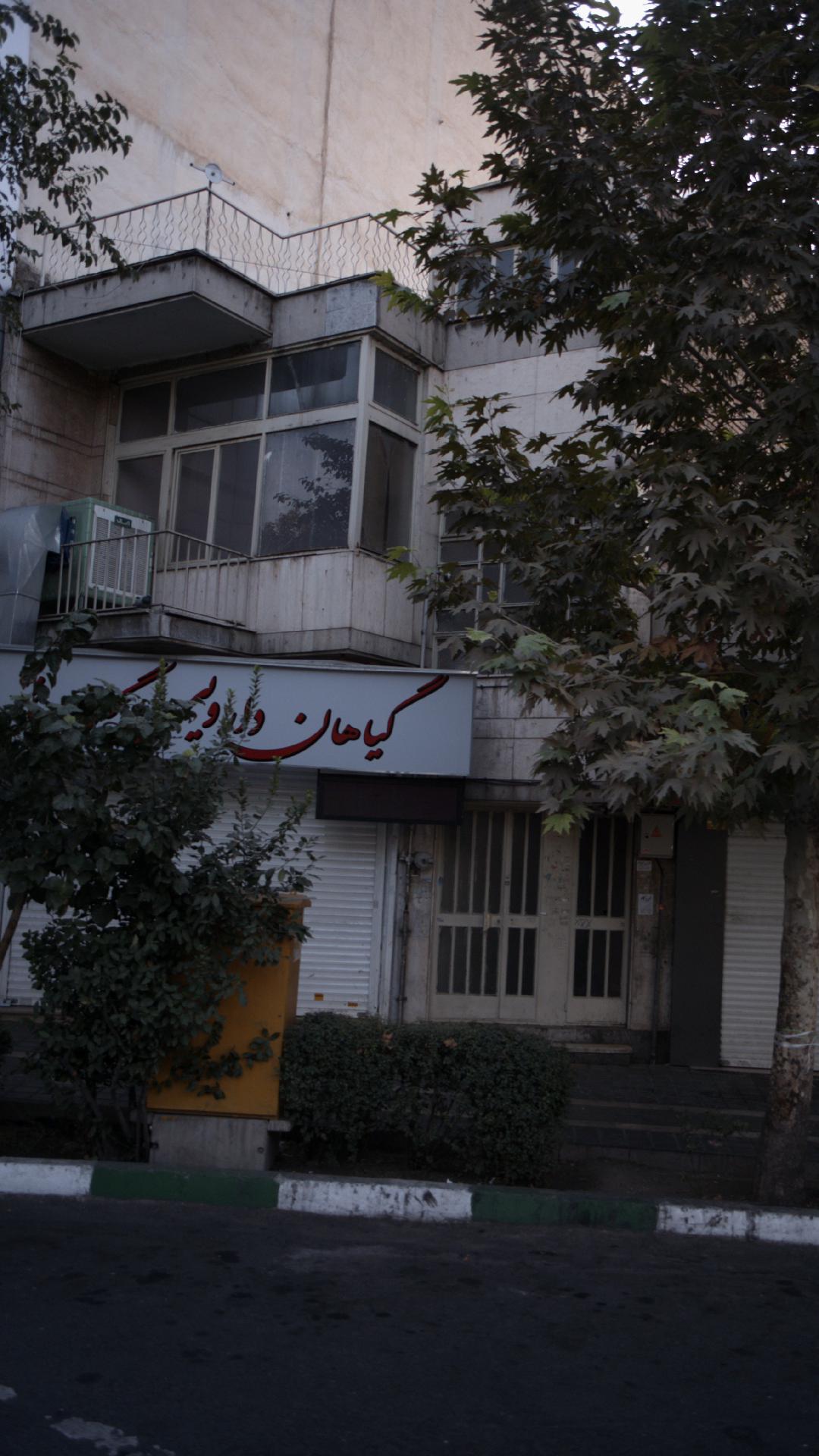 گیاهان دارویی