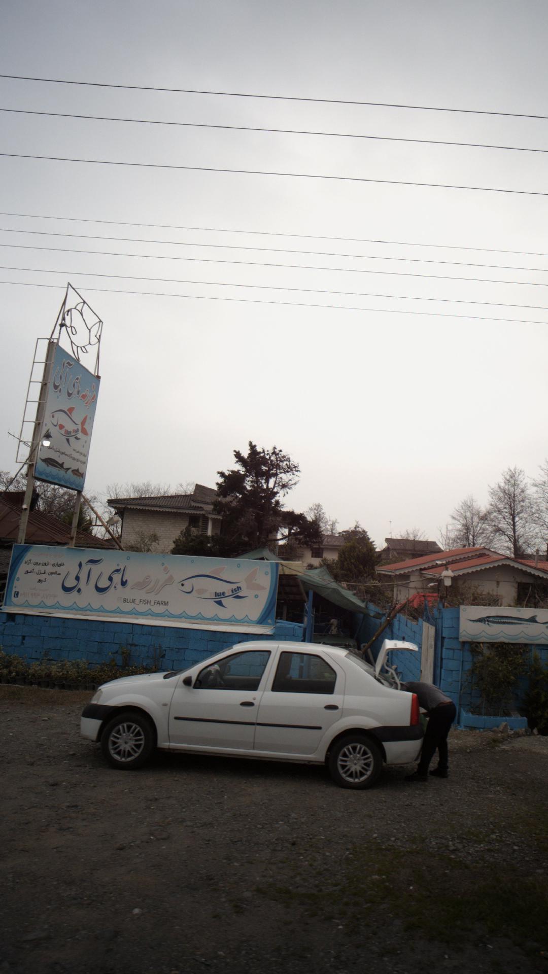 مزرعه ماهی آبی