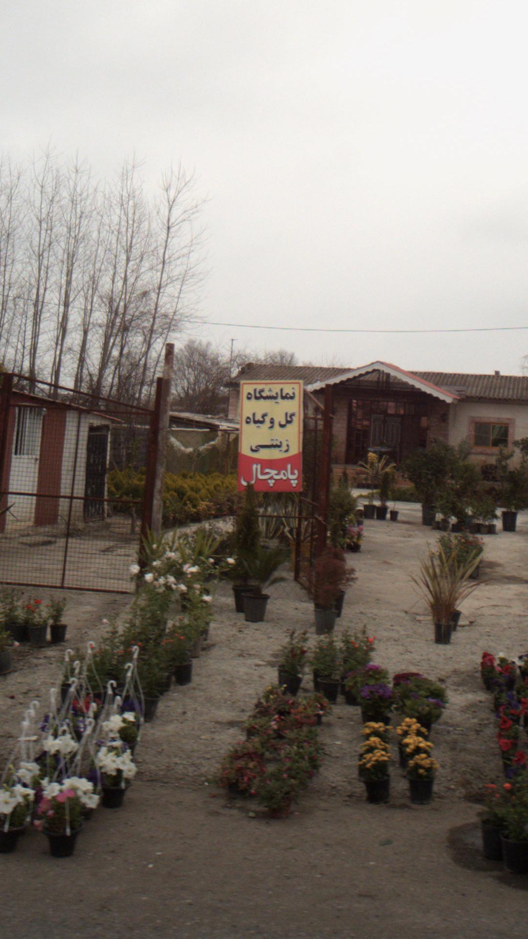 نمایشگاه گل و گیاه زینتی پامچال