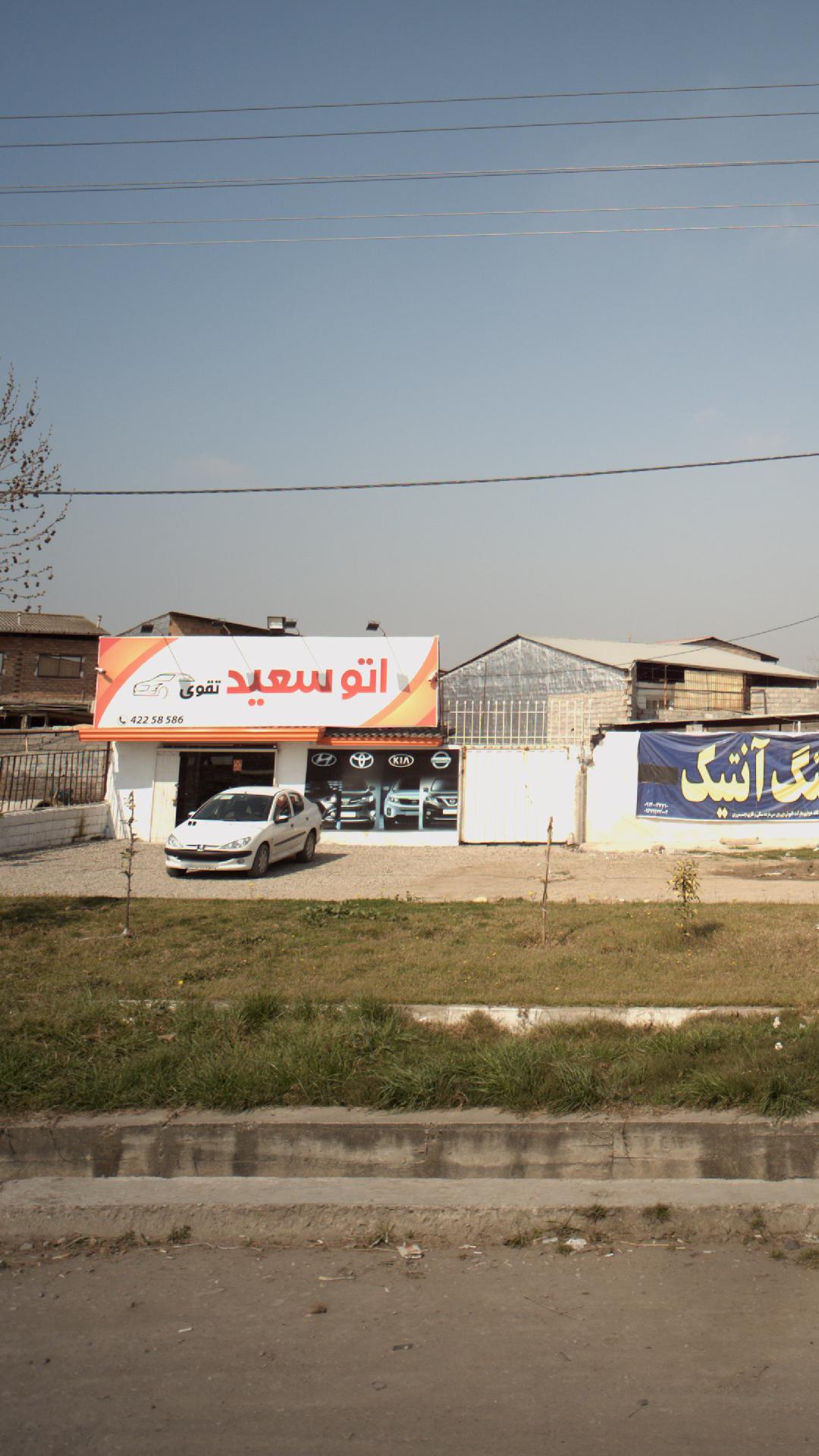اتو سعید تقوی
