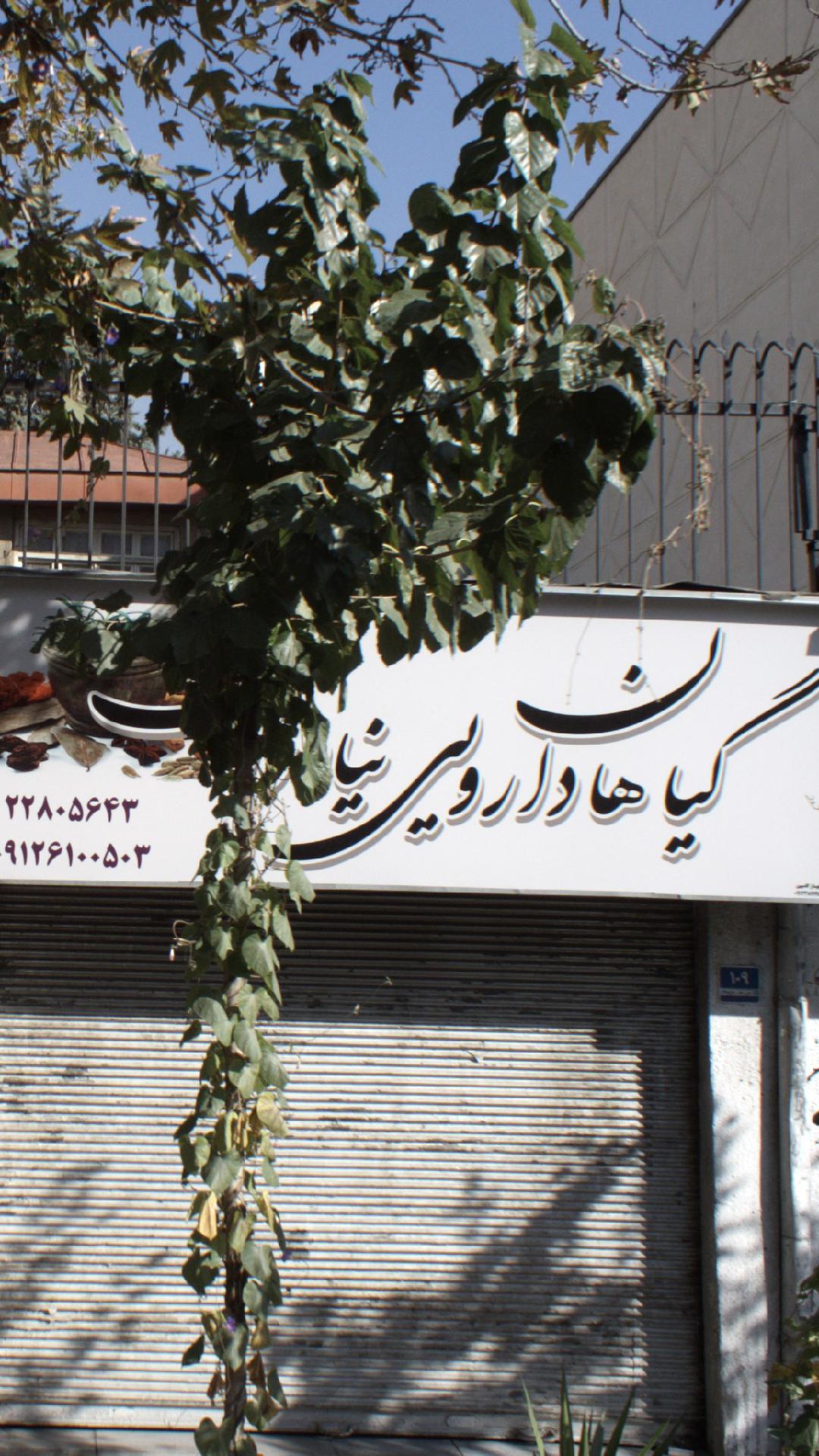گیاهان دارویی