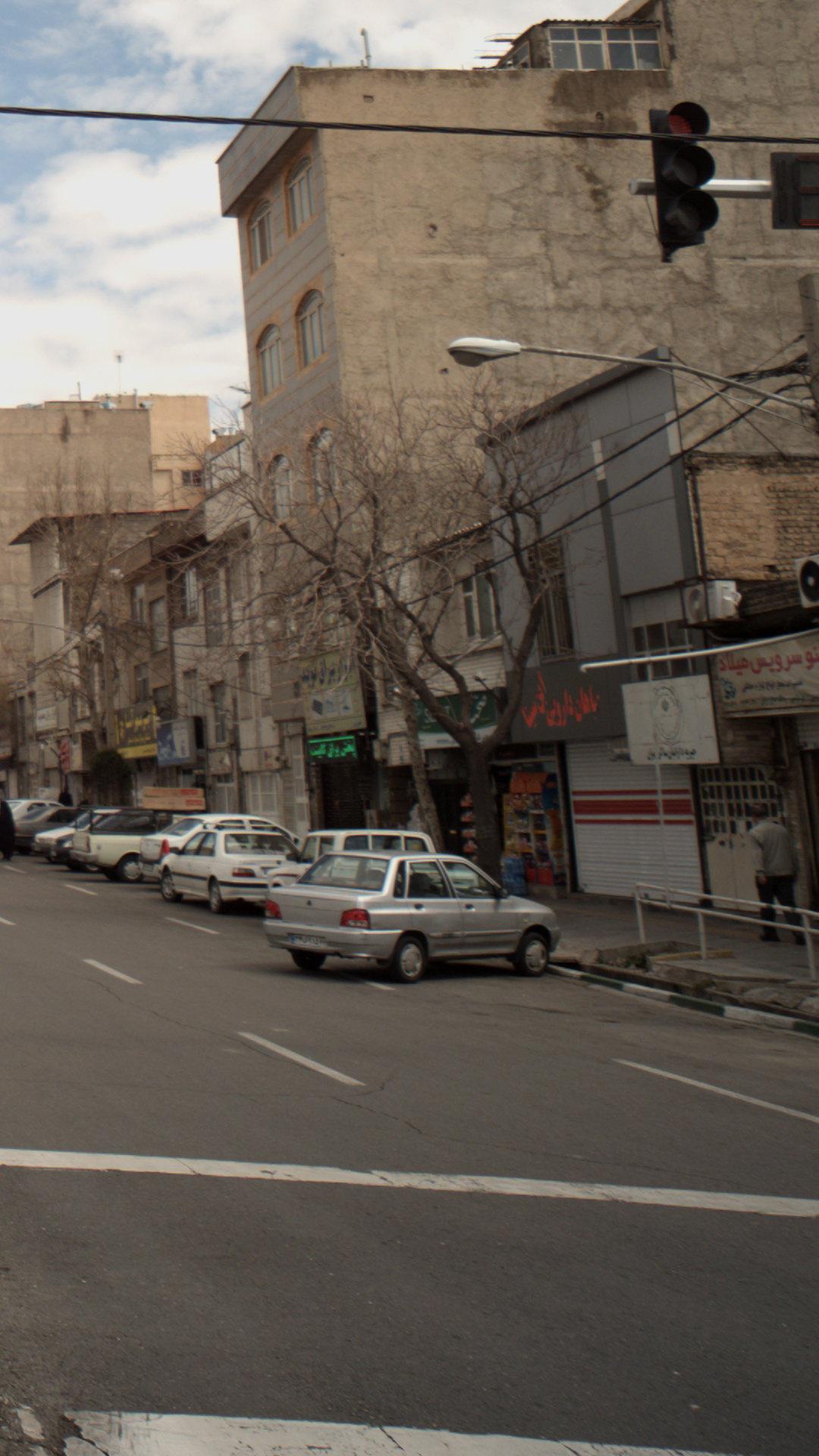 گیاهان دارویی ابن سینا