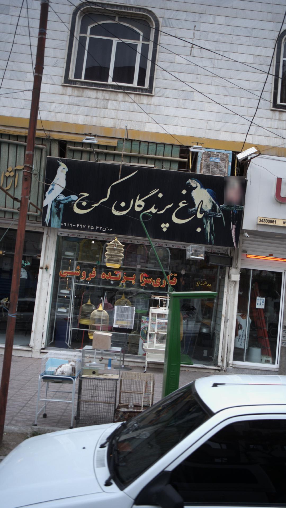 باغ پرندگان کرج