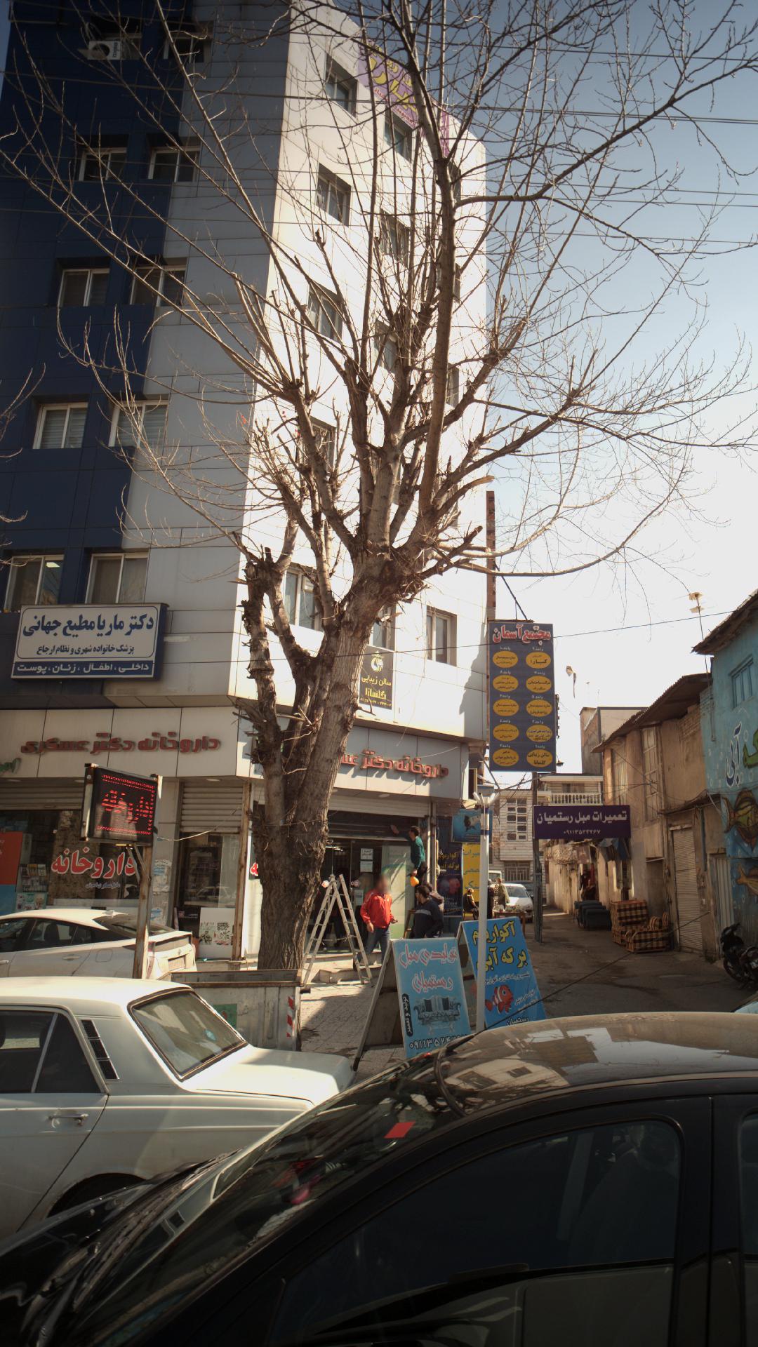 دکتر ماریا مطیع جهانی