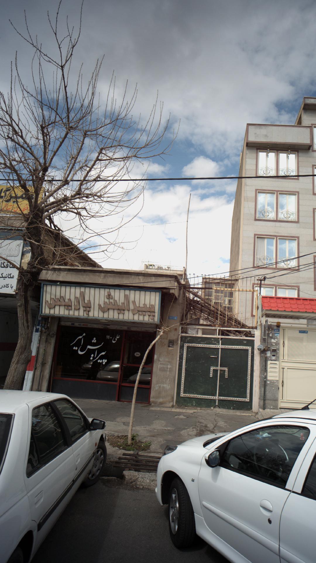 پیرایش امیر