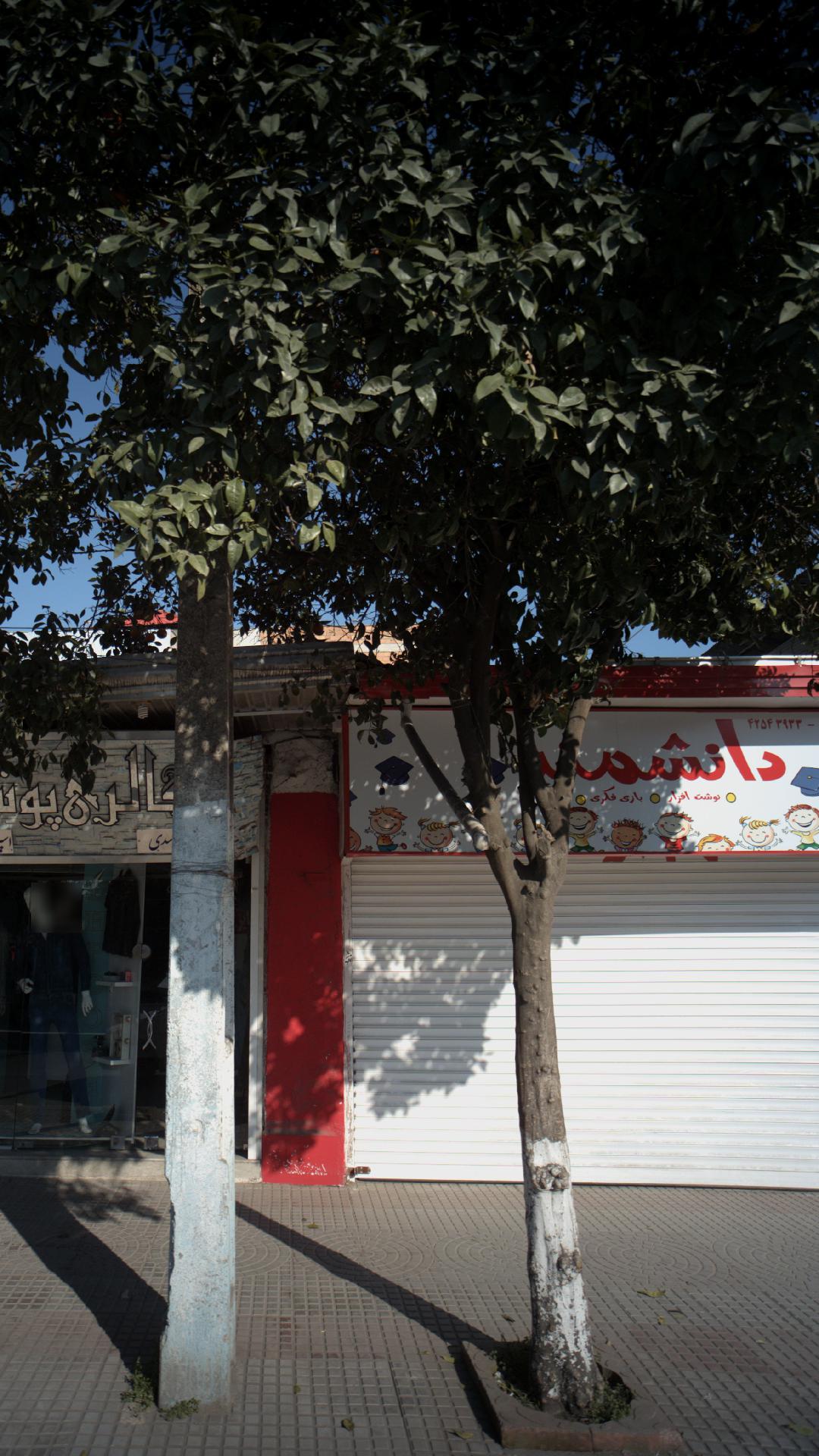 دانشمند