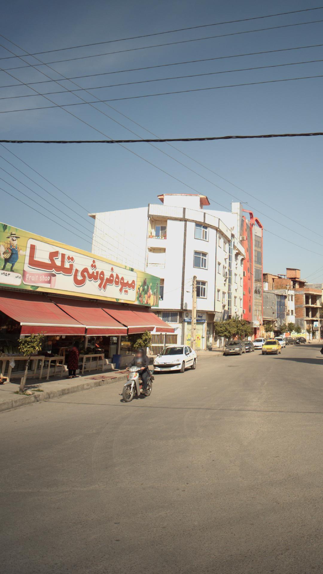 میوه فروشی تلکا