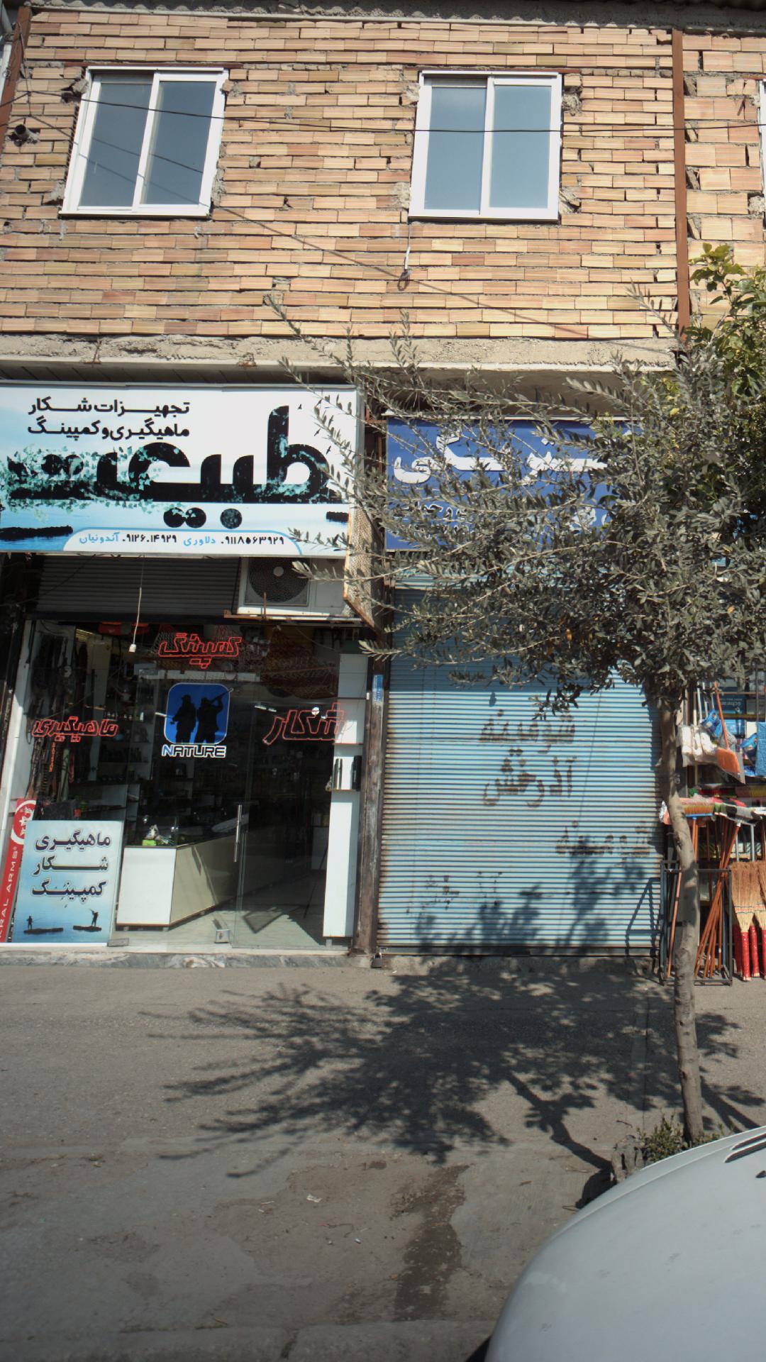 ویکتورایران