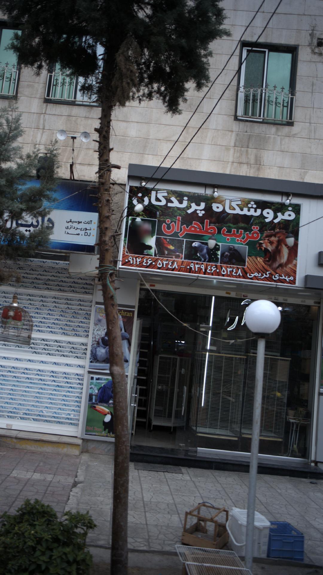 فروشگاه پرندگان قریب طهران