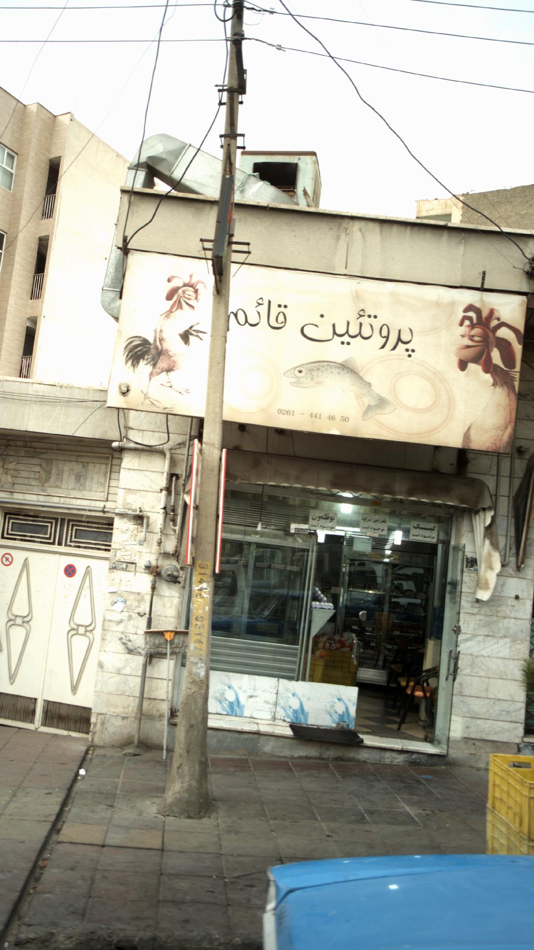 پروتئین قائم