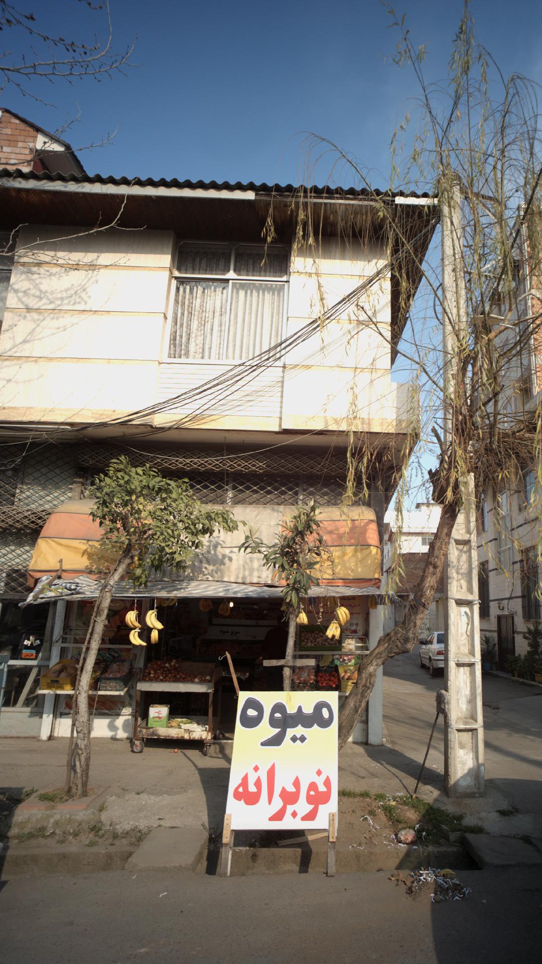 میوه نوبرانه