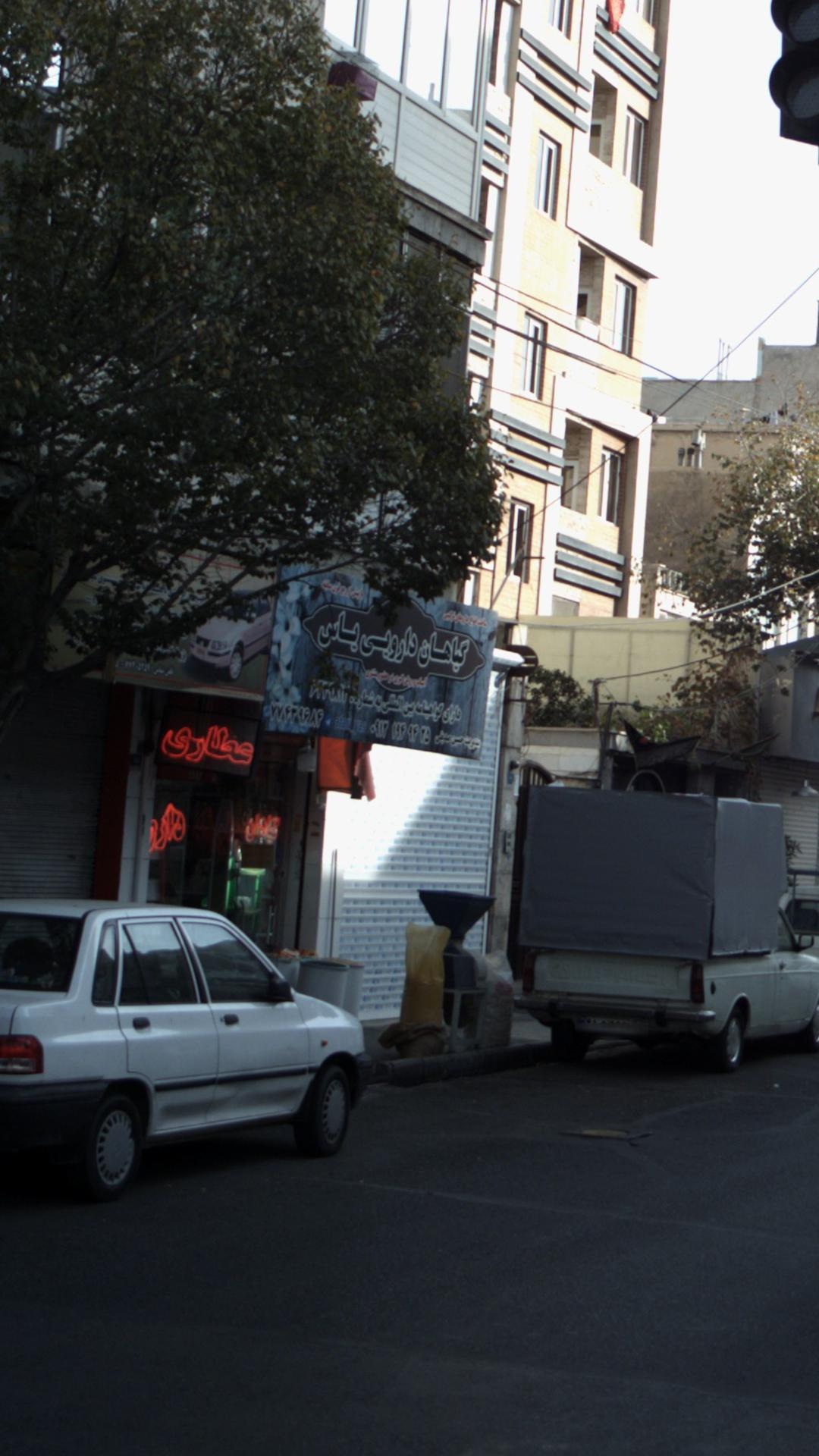 گیاهان دارویی یاس