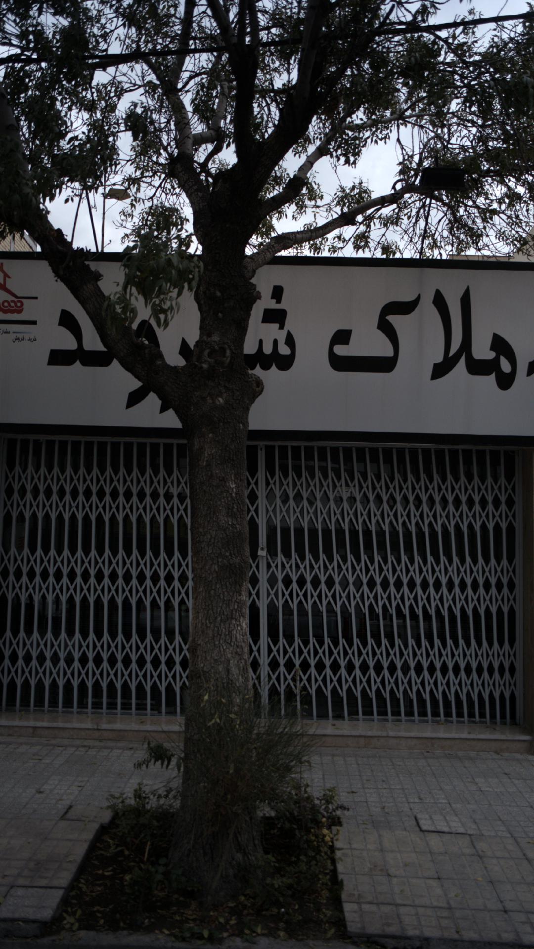 املاک شهروند