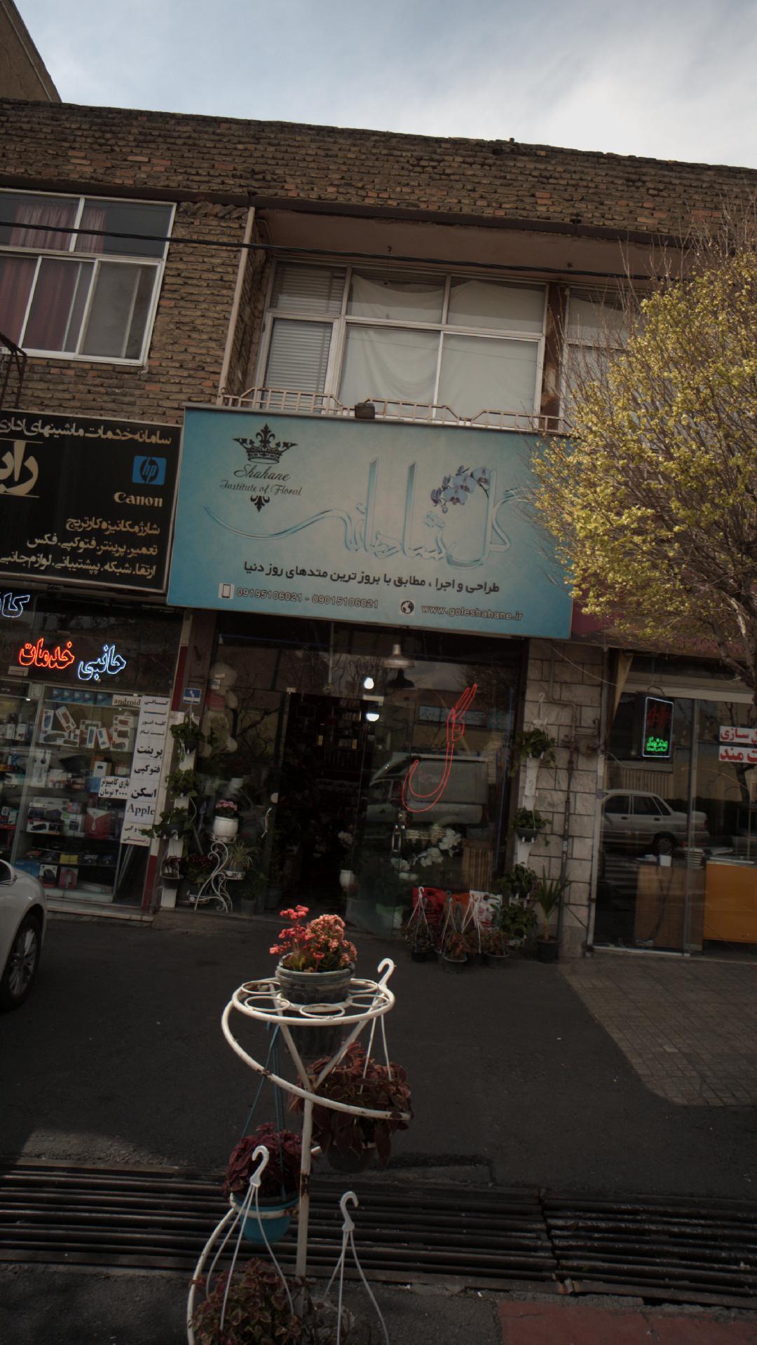 گل شاهانه