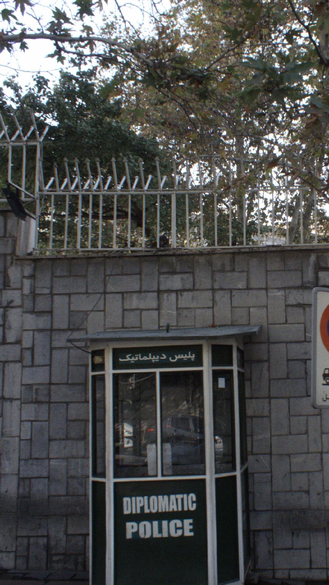 پلیس دیپلماتیک