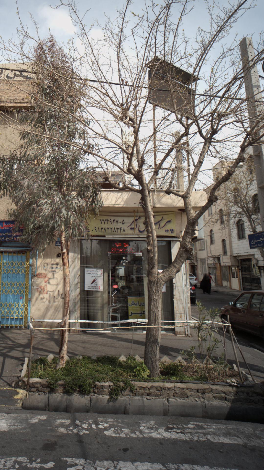 پیرایش امیر
