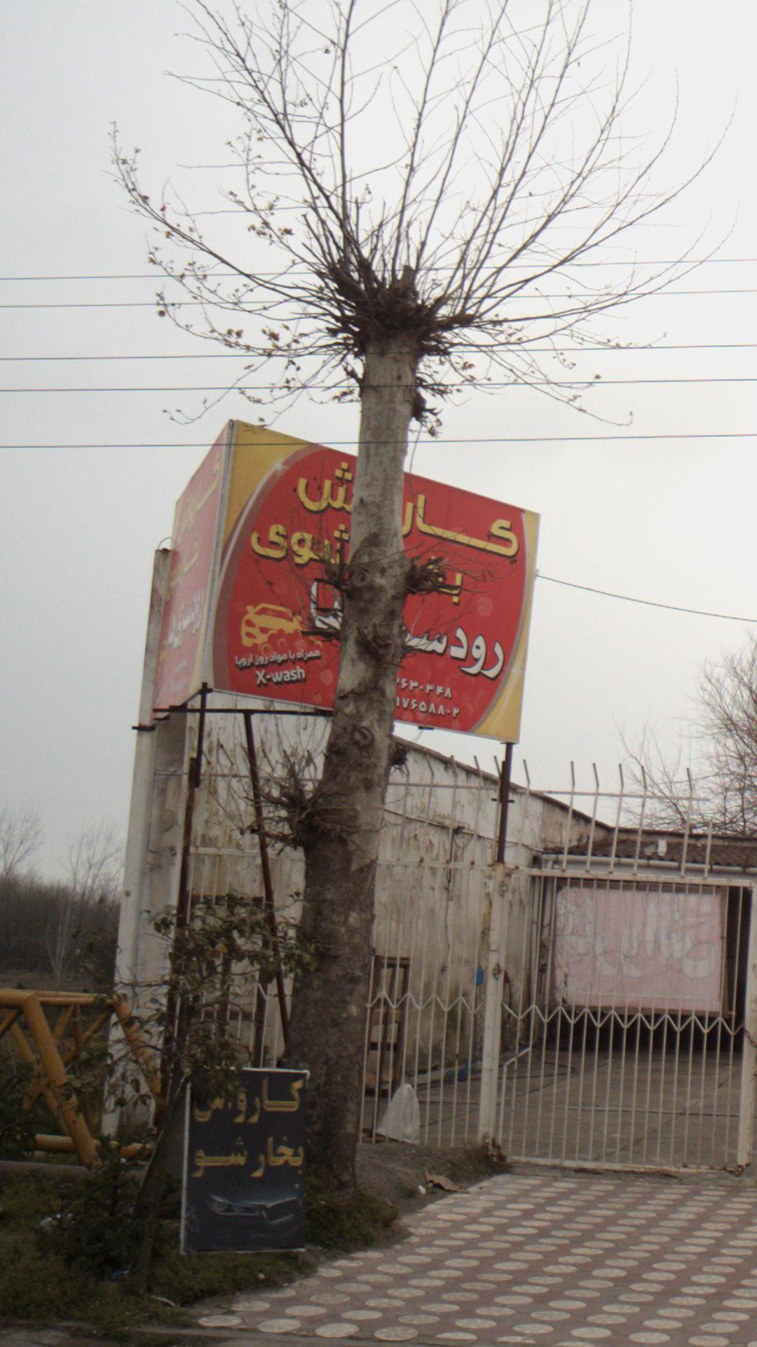 کارواش و بخار شوی رودسری ها
