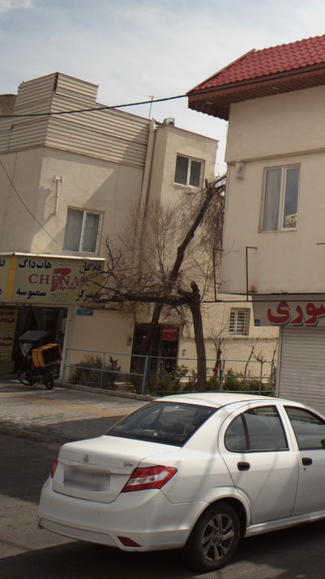 فست فود هفت چنار