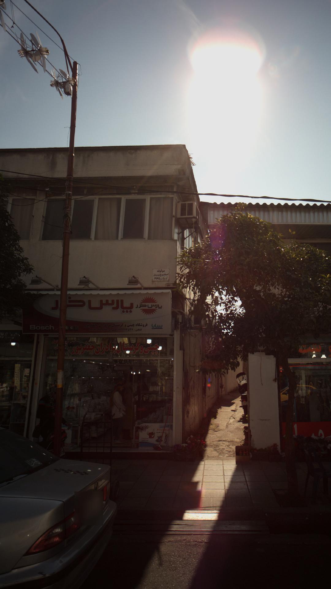 برادران جعفر پور