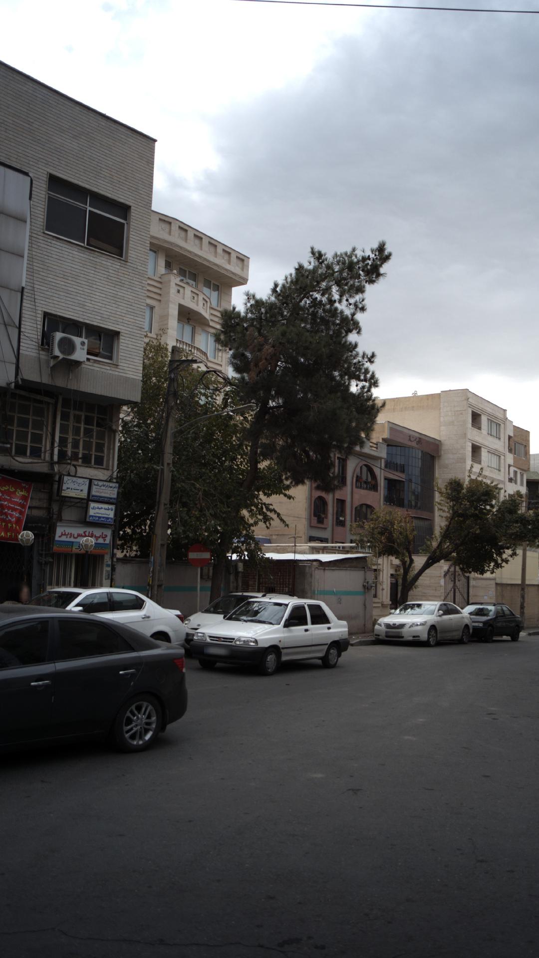 دکتر فاطمه حیدری