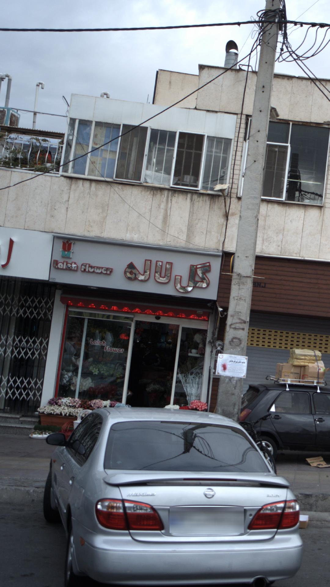 گل لاله