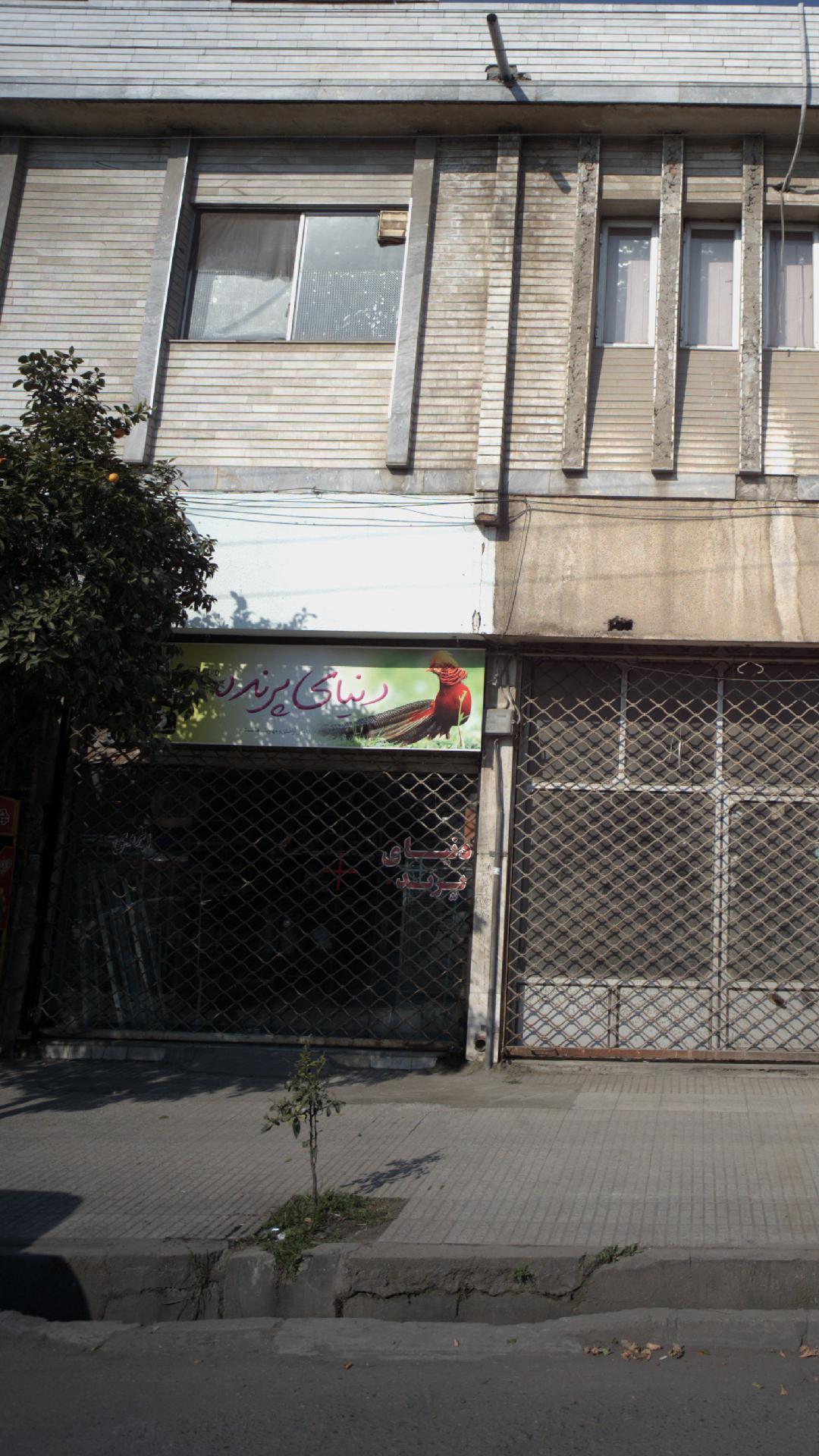 دنیای پرنده