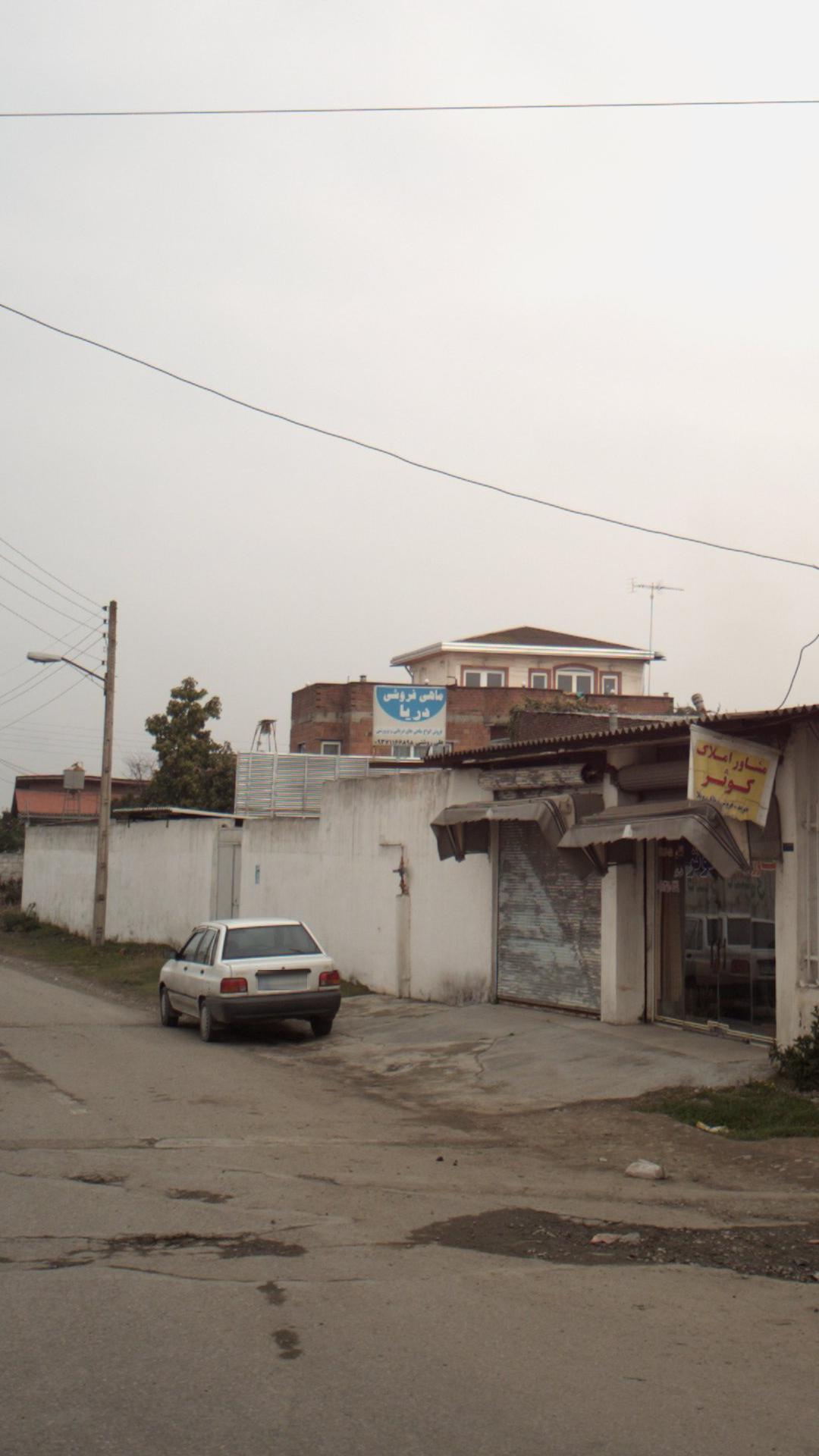 ماهی فروشی دریا