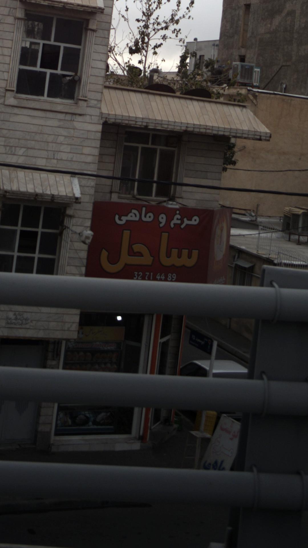 مرغ و ماهی ساحل