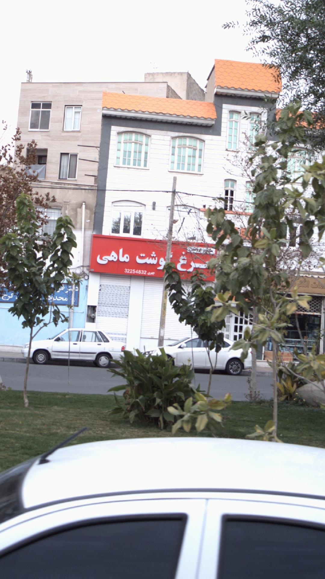 مرغ گوشت ماهی