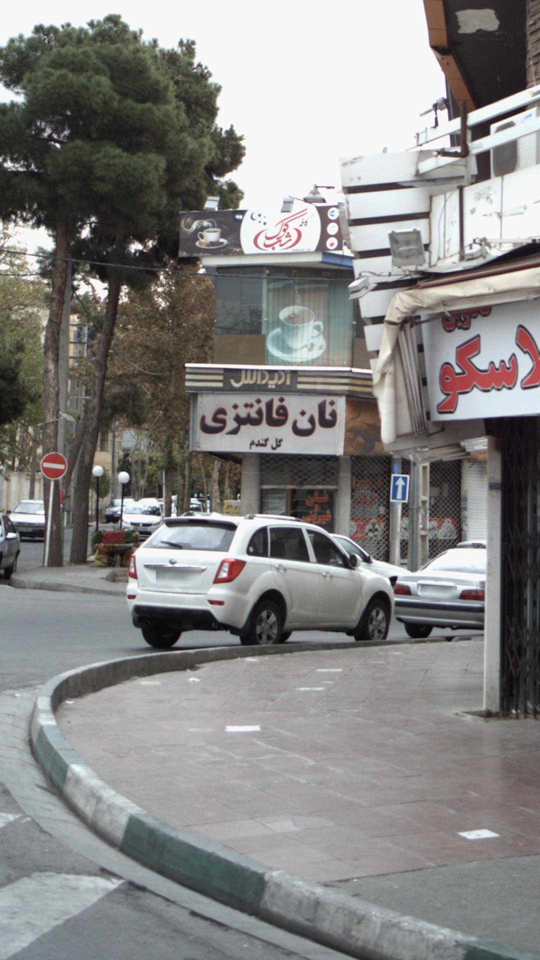 نان فانتزی گل گندم