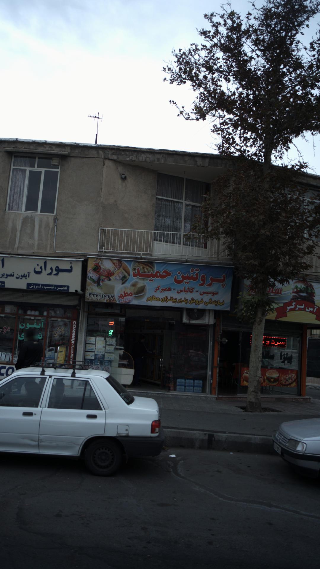 پروتئین حمید