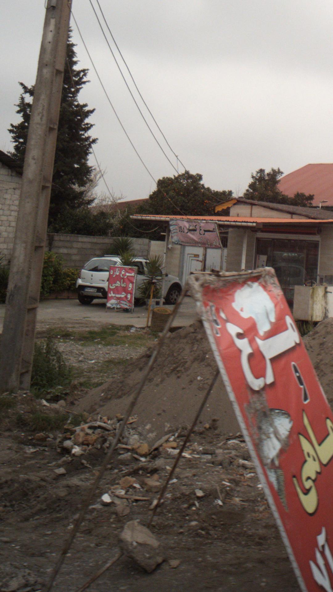 مرغ و ماهی وحید