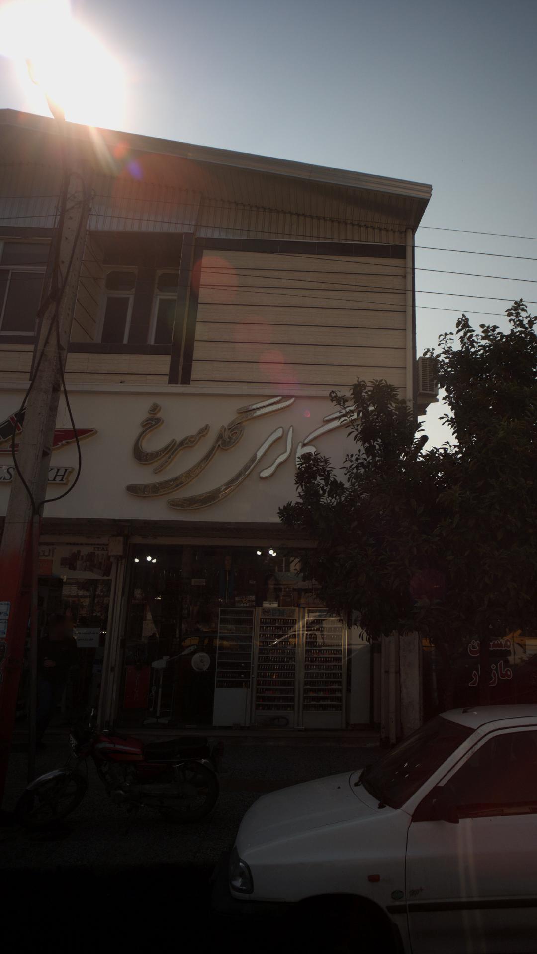 گالری گل سرخ