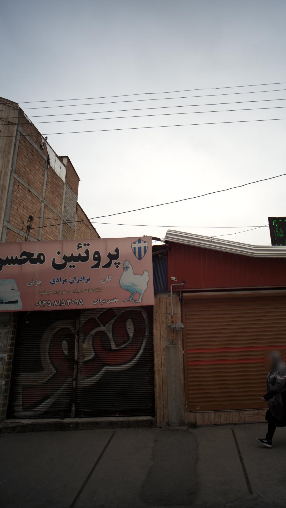 پروتئین محسن