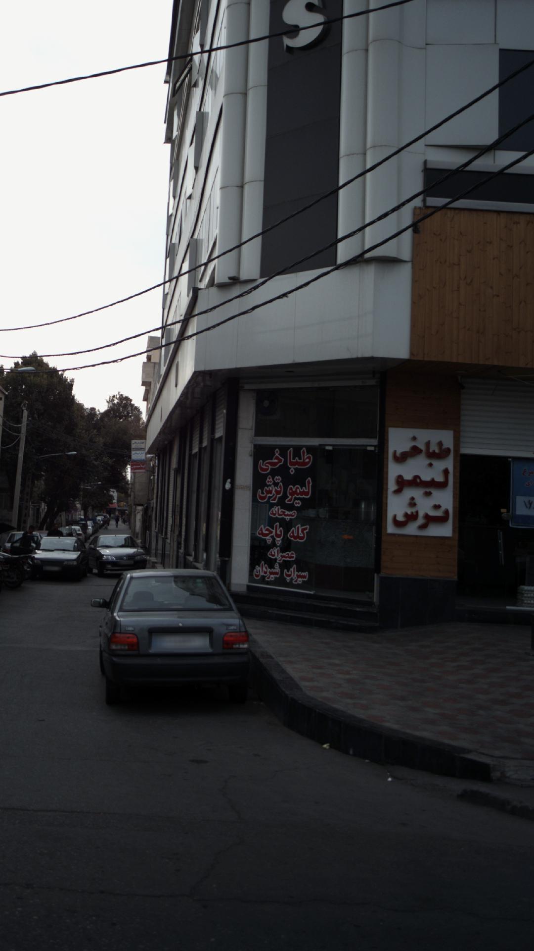 طباخی لیموترش
